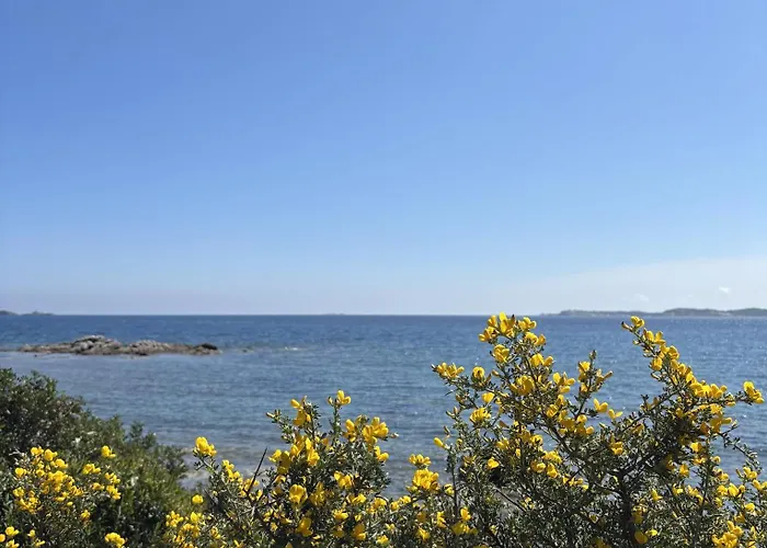 La Maison Sur La - Les Pieds Dans L'eau Villa *